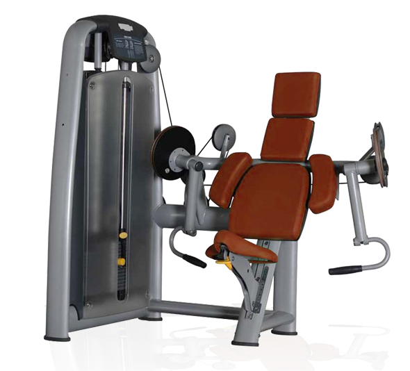 BFT2003肱二頭肌訓(xùn)練器 室內(nèi)健身器材大全批發(fā)大圖展示1