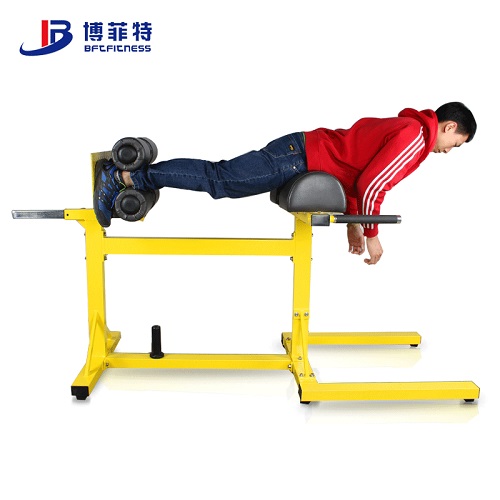 BFT1023水平羅馬椅訓(xùn)練器 山羊挺身健身器材廣州大圖展示1