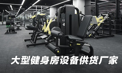 大型健身房設(shè)備供貨廠家