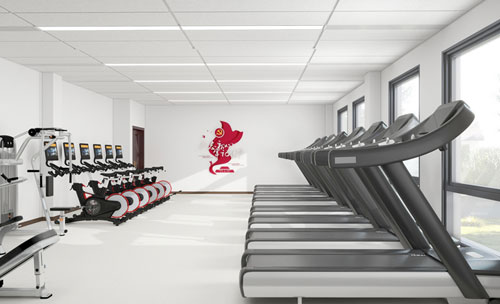 企業(yè)健身房建設(shè)器材配置趨勢(shì)解析