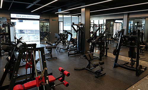 中國(guó)健身器材出口市場(chǎng)趨勢(shì)分析