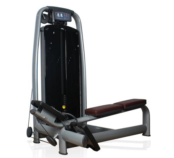 BFT2007豪華背部訓(xùn)練器 低拉劃船器 坐式低拉背肌大圖展示1
