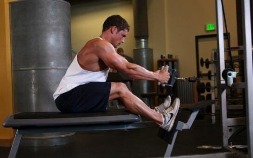 坐姿劃船器：坐姿劃船圖解以及3大常見錯誤