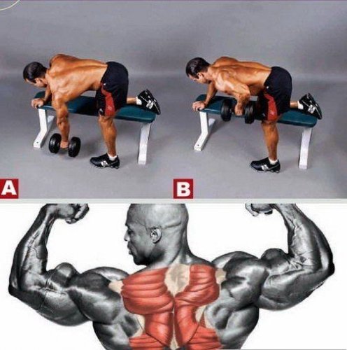 啞鈴劃船動作要領(lǐng)以及注意事項