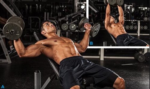 啞鈴飛鳥器械夾胸時(shí)手肘擺動(dòng)的正確位置