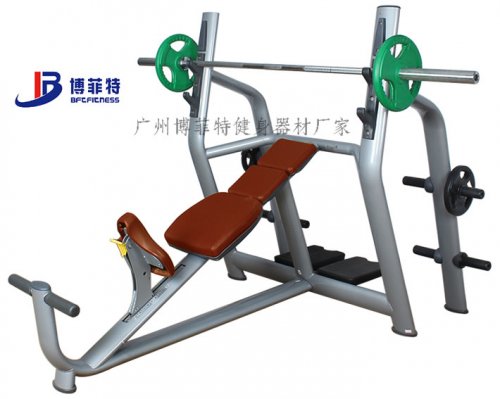臥推架 博菲特上斜下斜平板臥推架大全