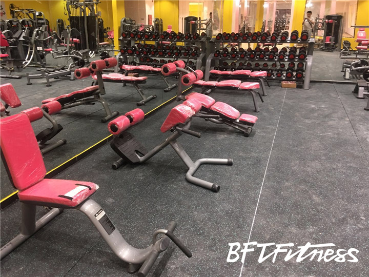 沙特客戶女子健身房 自由力量器材