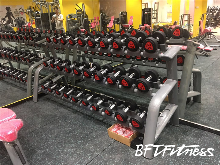 沙特客戶女子健身房 啞鈴