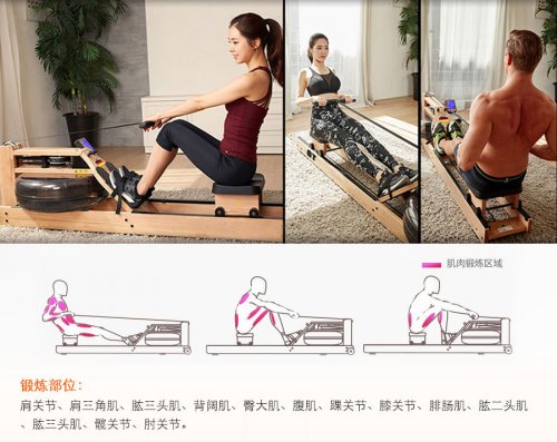 水阻劃船機(jī)動(dòng)作姿勢(shì)教學(xué)