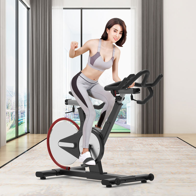 BSE-106專業(yè)健身房動感單車大圖展示1