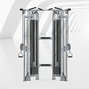 BFT-3025C小飛鳥(niǎo)訓(xùn)練器小飛鳥(niǎo)健身器材廠(chǎng)家