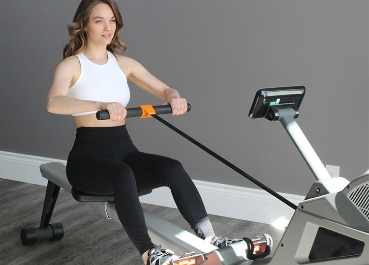 博菲特2022年爆款商用風(fēng)磁雙阻劃船機(jī)BCE-808  專(zhuān)業(yè)定制健身器材