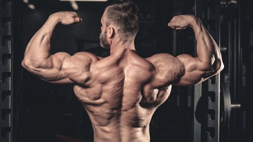 有哪些健身器材是能練到肩部肌肉的？