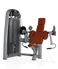 BFT2003肱二頭肌訓(xùn)練器 室內(nèi)健身器材大全批發(fā)