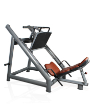 BFT2041 45度倒蹬腿 健身器材 室內(nèi) 廠價(jià)直銷