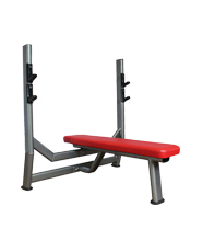 BFT3030水平推舉訓(xùn)練器 室內(nèi)健身器材大全批發(fā)