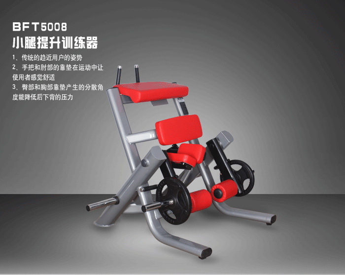 BFT5008小腿提升訓(xùn)練器材