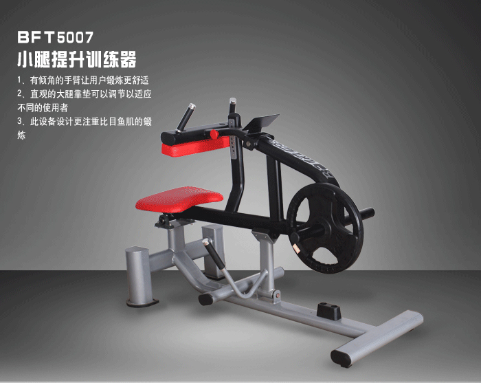 BFT5007小腿提升訓(xùn)練器